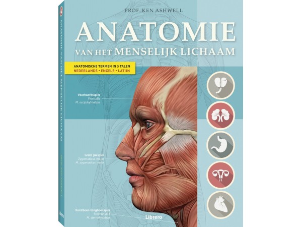 Anatomie van het Menselijk Lichaam